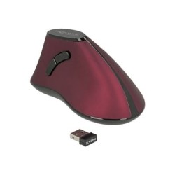 Delock - Vertikální myš - ergonomický - pravák - optický - 5 tlačítka - bezdrátový - 2.4 GHz - bezdrátový přijímač USB