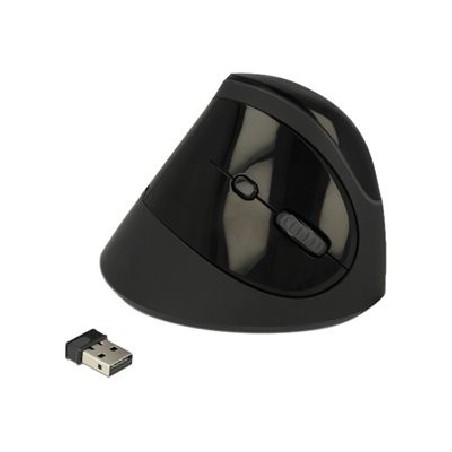 Delock Ergonomic - Vertikální myš - ergonomický - pravák - optický - 6 tlačítka - bezdrátový - 2.4 GHz - bezdrátový přijímač