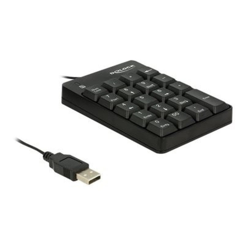 Delock - Klávesnice - USB - černá - maloobchod
