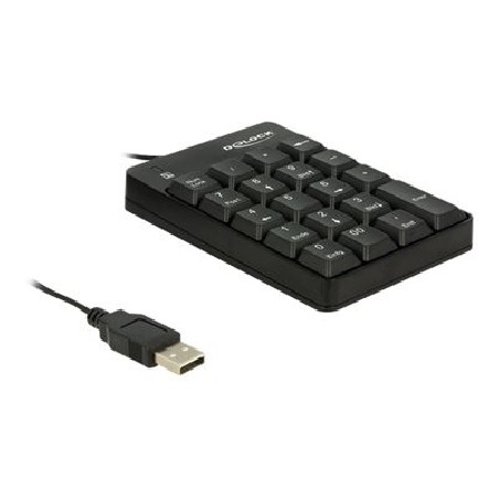 Delock - Klávesnice - USB - černá - maloobchod