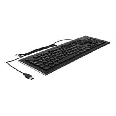 Delock - Klávesnice - USB - QWERTZ - německá - černá - maloobchod
