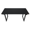 COUGAR stůl E-GRAV 160 BLACK elictric 1600 x 750 x 15 mm, 730~1180mm Silent Dual Motor Drive