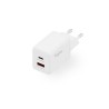 Digitus 45W USB GaN nabíječka, 1x USB-C, 1x USB-A