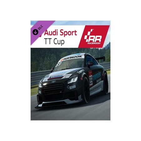 ESD RaceRoom Audi Sport TT Cup 2015