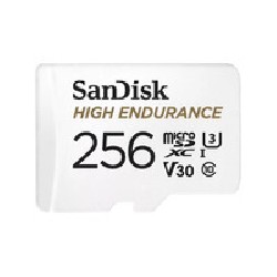 MicroSD UHS-I 256GB MicroSD 100MB/s R/