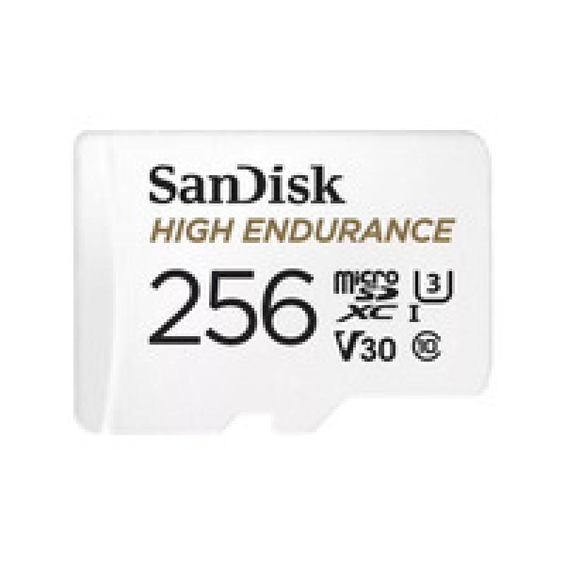 MicroSD UHS-I 256GB MicroSD 100MB/s R/