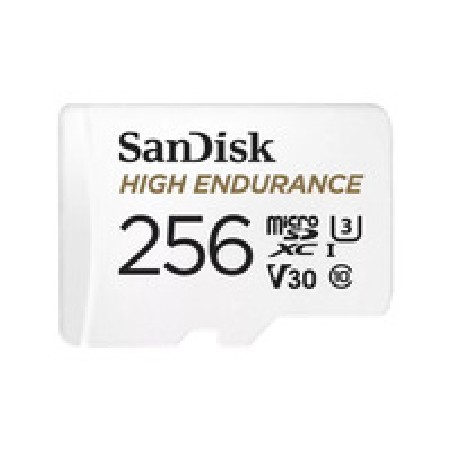 MicroSD UHS-I 256GB MicroSD 100MB/s R/