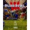 Blood Bowl 3 – hra pro PC (elektronická licence)