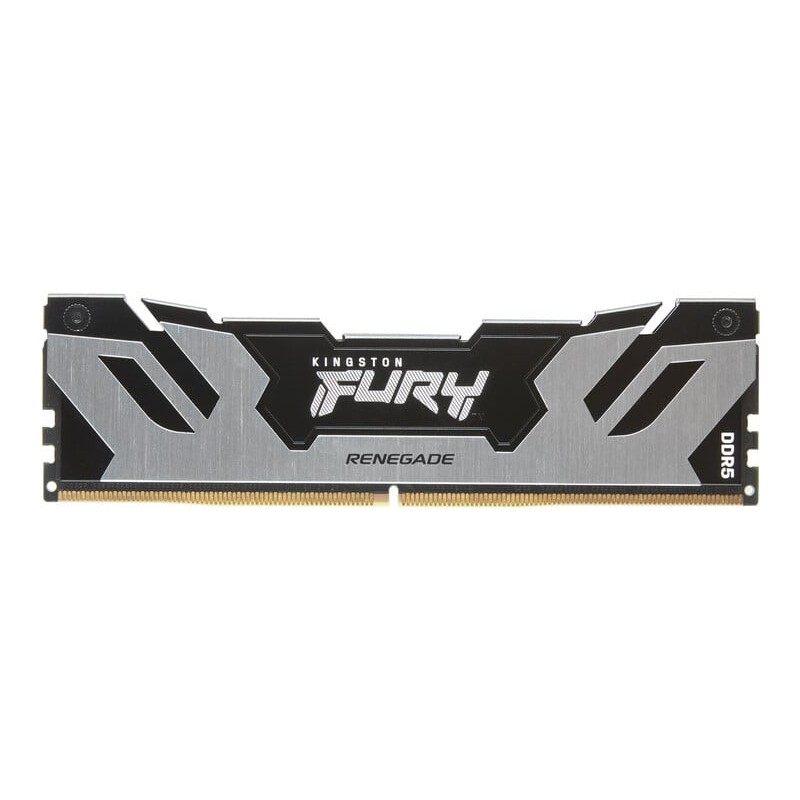 Kingston FURY Renegade/DDR5/24GB/7200MHz/CL38/1x24GB/Black/Silv