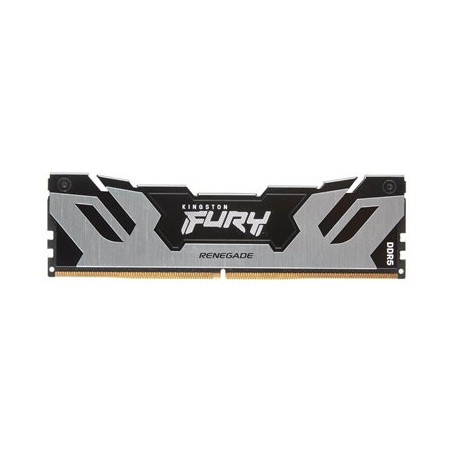 Kingston FURY Renegade/DDR5/32GB/6400MHz/CL32/1x32GB/Black/Silv