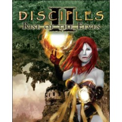Disciples II Rise of the Elves – hra pro PC (elektronická licence)