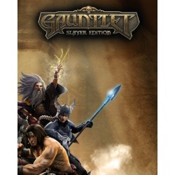 Gauntlet Slayer Edition – hra pro PC (elektronická licence)