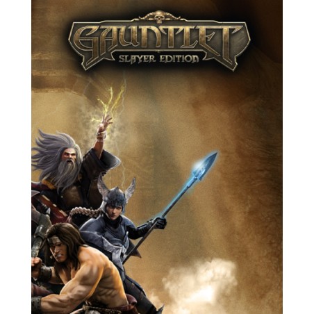 Gauntlet Slayer Edition – hra pro PC (elektronická licence)