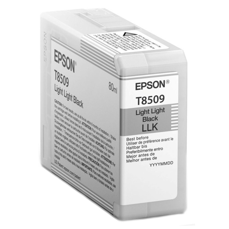 Epson Singlepack Photo Light Light Black T850900 UltraChrome HD ink 80ml
