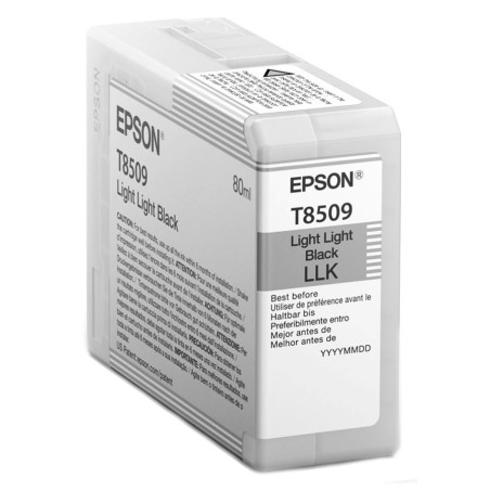 Epson Singlepack Photo Light Light Black T850900 UltraChrome HD ink 80ml