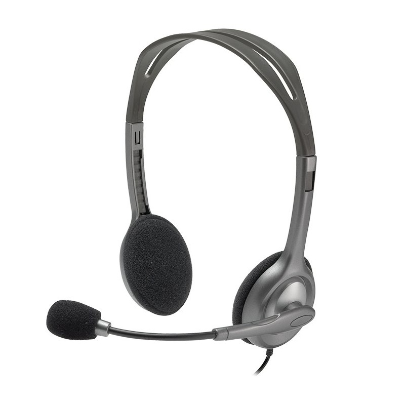 Logitech H110