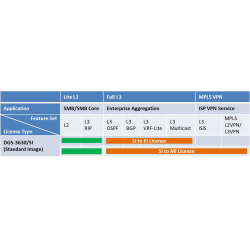 LICENCE UPGRADE STD/(SI) MPLS (MI) IN DGS363028TCSMLIC
