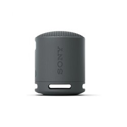 Sony Loudspeakers SRSXB100B.CE7 / SRS-XB100 Black
