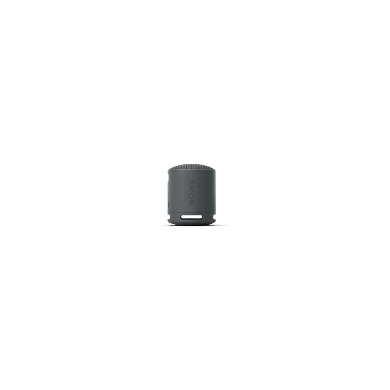 Sony Loudspeakers SRSXB100B.CE7 / SRS-XB100 Black
