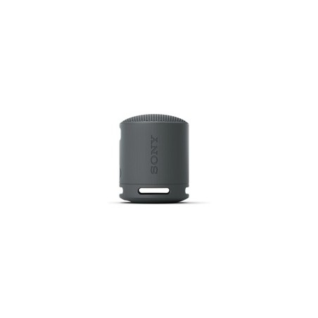Sony Loudspeakers SRSXB100B.CE7 / SRS-XB100 Black