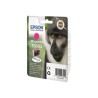 EPSON Magenta Ink Cartridge SX10x 20x 40x (T0893)
