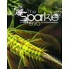 Sparkle 2 Evo – hra pro PC (elektronická licence)