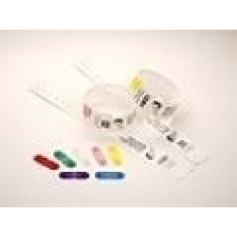 Wristband clips GREEN 275/pack