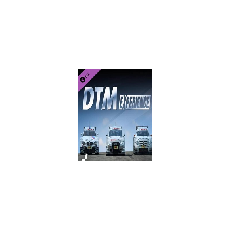 ESD RaceRoom DTM Experience 2013