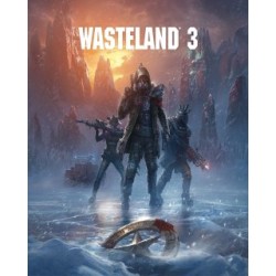 ESD Wasteland 3