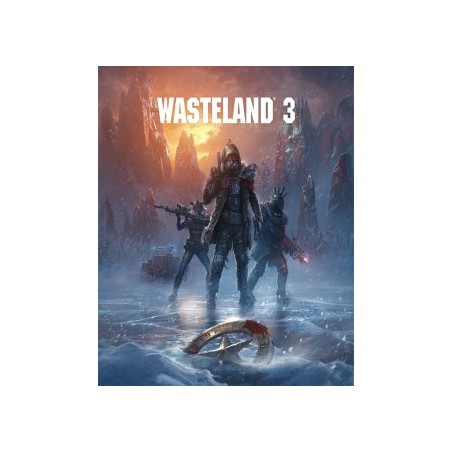 ESD Wasteland 3