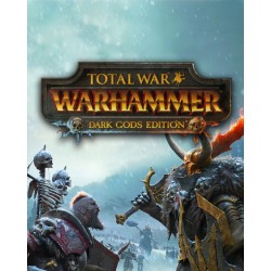 Total War Warhammer Dark Gods Edition – hra pro PC (elektronická licence)
