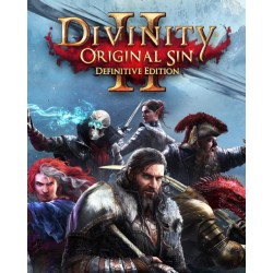 Divinity Original Sin 2 Definitive Edition – hra pro PC (elektronická licence)