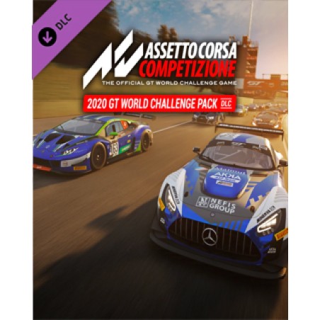 ESD Assetto Corsa Competizione 2020 GT World Chall