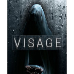 Visage – hra pro PC (elektronická licence)