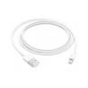 APPLE Lightning na USB kabel (1m)