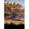 Truberbrook – hra pro PC (elektronická licence)