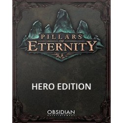 Pillars of Eternity Hero Edition – hra pro PC (elektronická licence)
