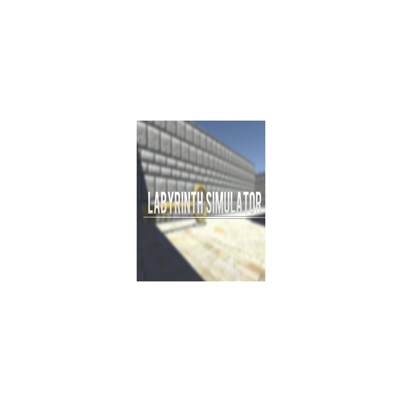 ESD Labyrinth Simulator