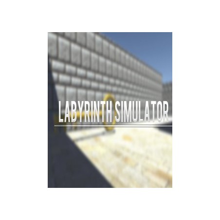 ESD Labyrinth Simulator
