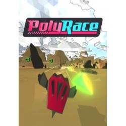 PolyRace – hra pro PC (elektronická licence)
