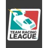 Team Racing League – hra pro PC (elektronická licence)