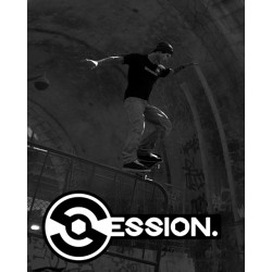 ESD Session Skateboarding Sim Game