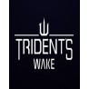 Tridents Wake – hra pro PC (elektronická licence)
