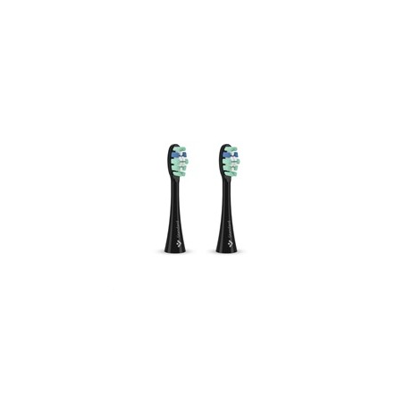 TrueLife SonicBrush Clean-series heads Standard black 2 pack