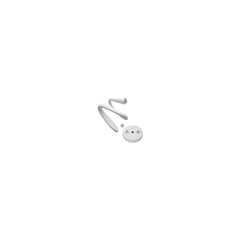 TrueLife NannyCam V24 Holder