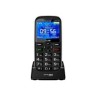 WG - Mobilní telefon WG20C, 4G, černá