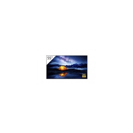 SONY 55'' 4K 24/7 Professional BRAVIA without Tuner, HAZE