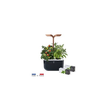 Véritable Exky SMART - Automatický květináč s regulací osvětlení, černá měděná + 2 bylinkové náplně