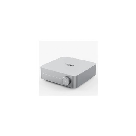 WiiM Amp Silver