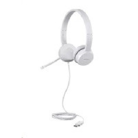 LENOVO 110 Stereo USB Headset